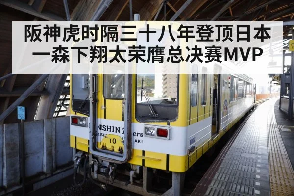 Hanshin Tigers celebration