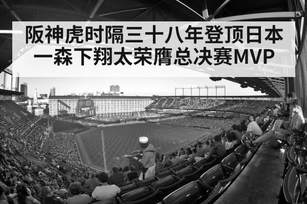 baseball stadium crowd