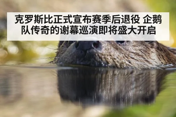 克罗斯比正式宣布赛季后退役 企鹅队传奇的谢幕巡演即将盛大开启