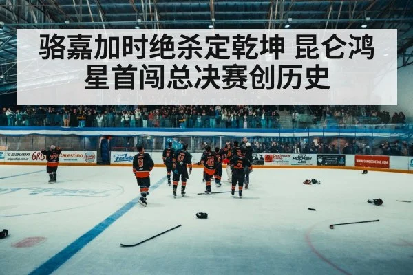 ice hockey arena crowd